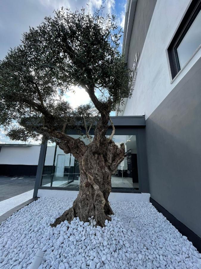 ג'וליאנו אין קאמפאניה Hotel Cristian מראה חיצוני תמונה