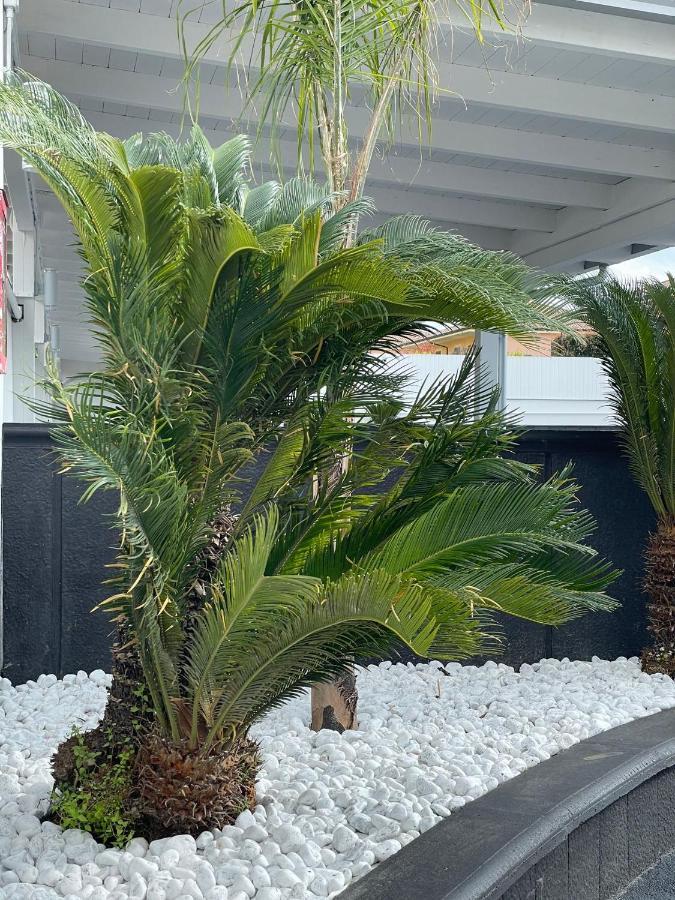 ג'וליאנו אין קאמפאניה Hotel Cristian מראה חיצוני תמונה